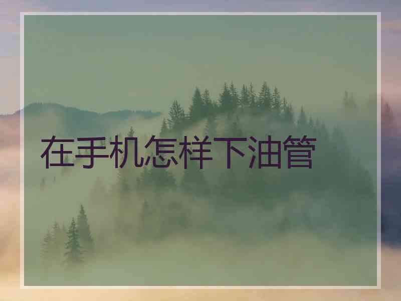 在手机怎样下油管