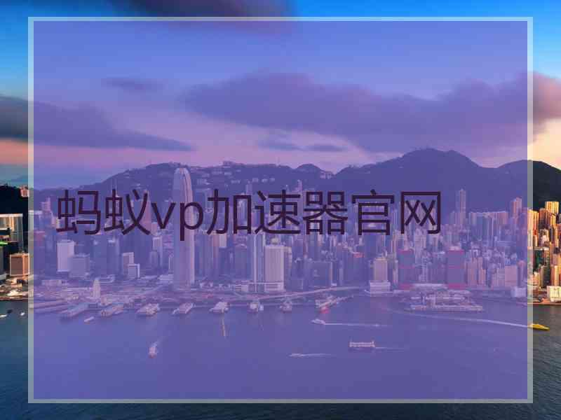 蚂蚁vp加速器官网