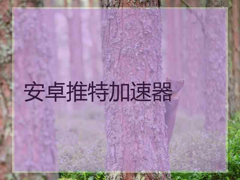 安卓推特加速器
