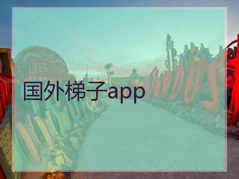 国外梯子app