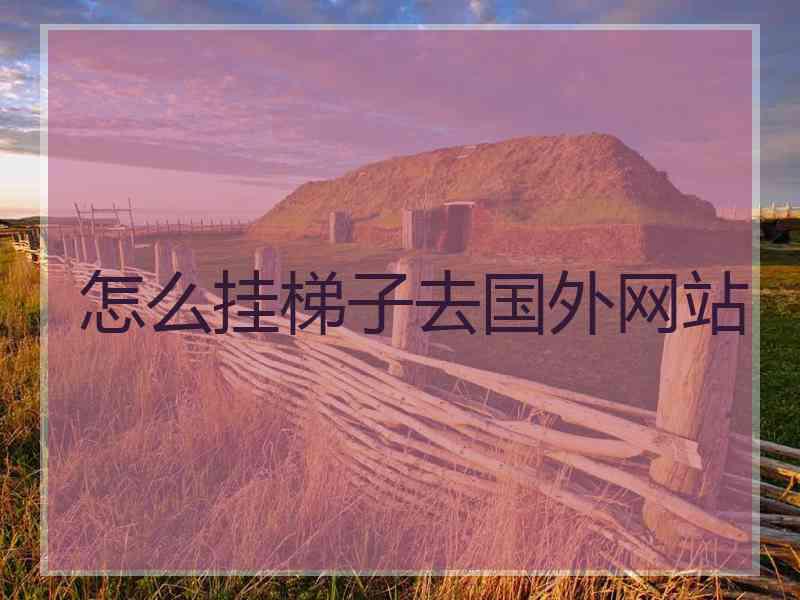 怎么挂梯子去国外网站