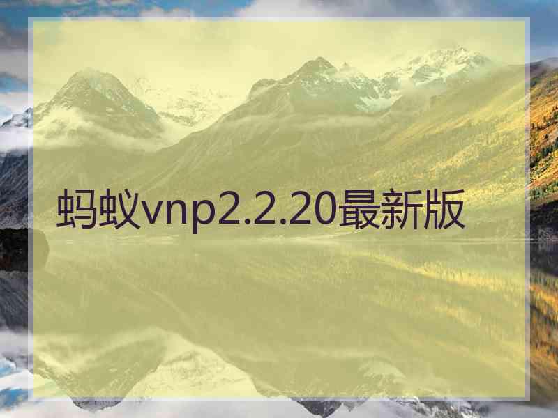 蚂蚁vnp2.2.20最新版