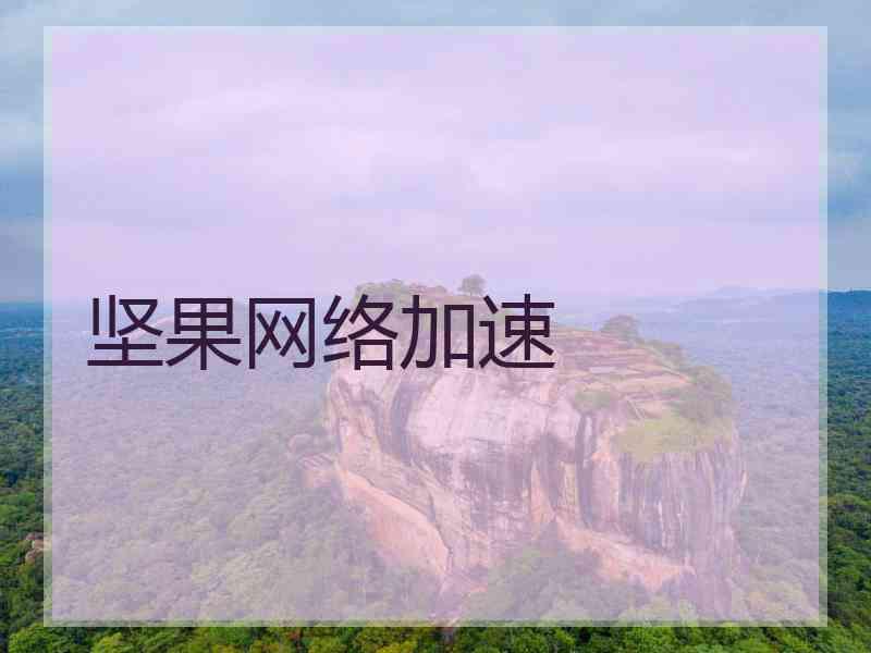 坚果网络加速