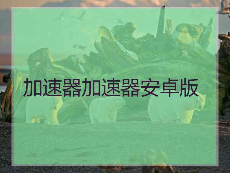 加速器加速器安卓版