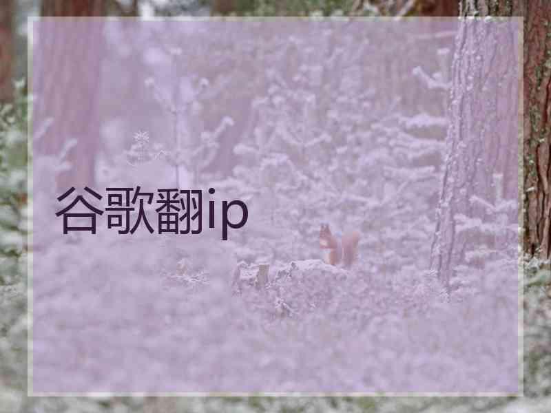 谷歌翻ip