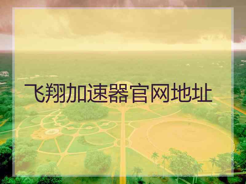 飞翔加速器官网地址