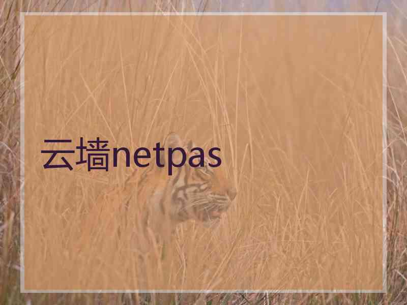 云墙netpas