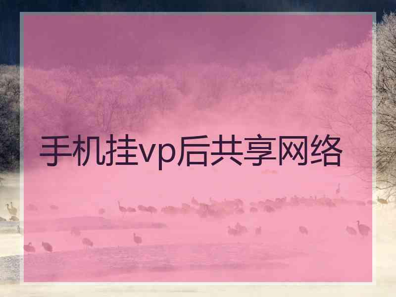 手机挂vp后共享网络