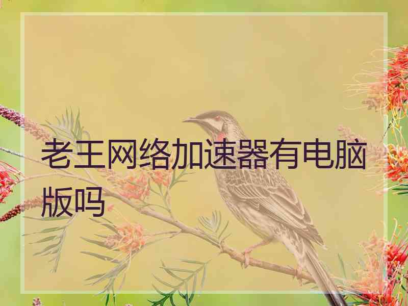 老王网络加速器有电脑版吗