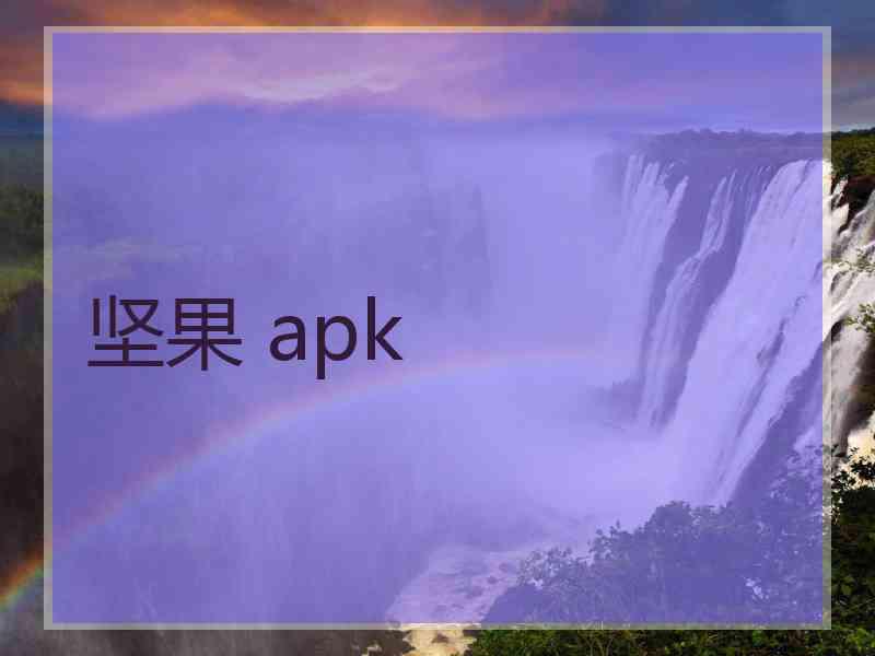 坚果 apk