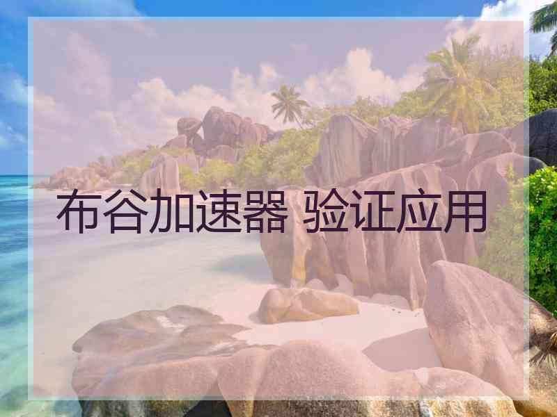 布谷加速器 验证应用
