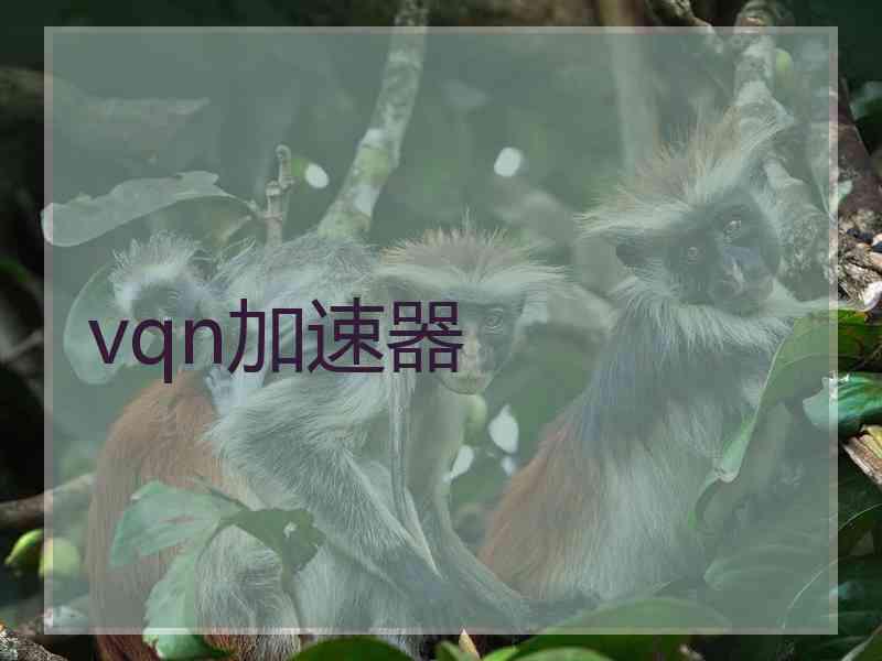 vqn加速器