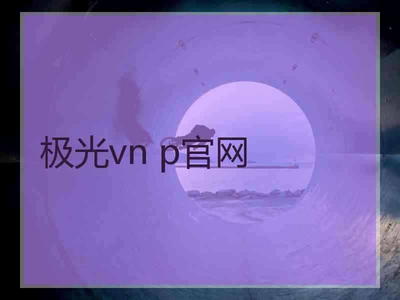 极光vn p官网