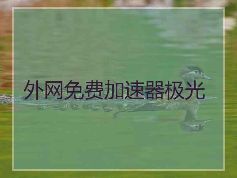 外网免费加速器极光