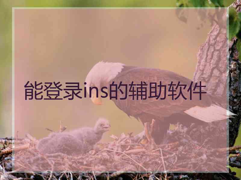 能登录ins的辅助软件