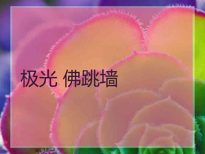 极光 佛跳墙