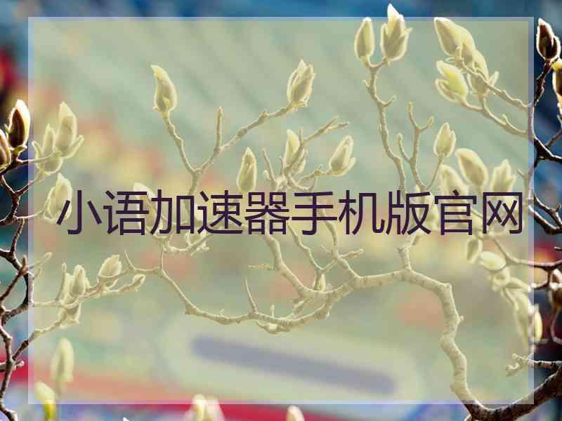 小语加速器手机版官网