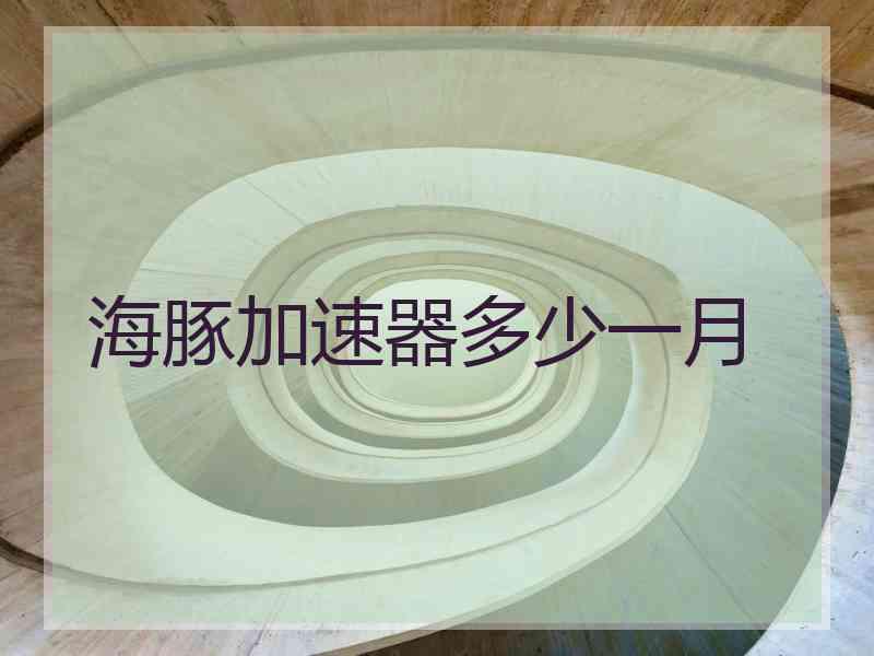 海豚加速器多少一月