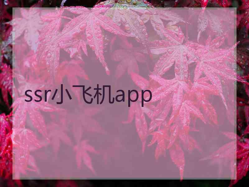 ssr小飞机app