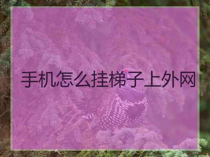 手机怎么挂梯子上外网