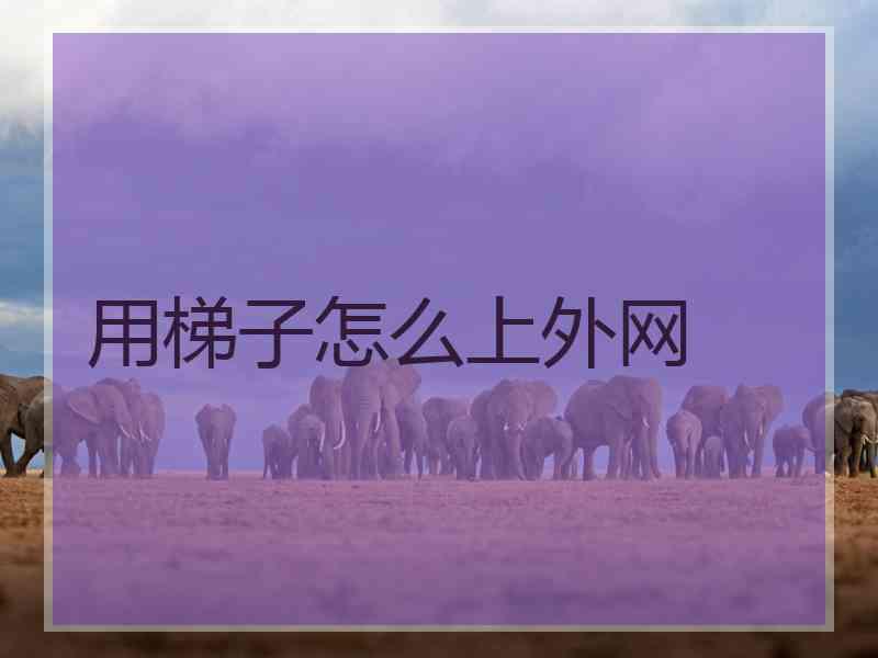 用梯子怎么上外网