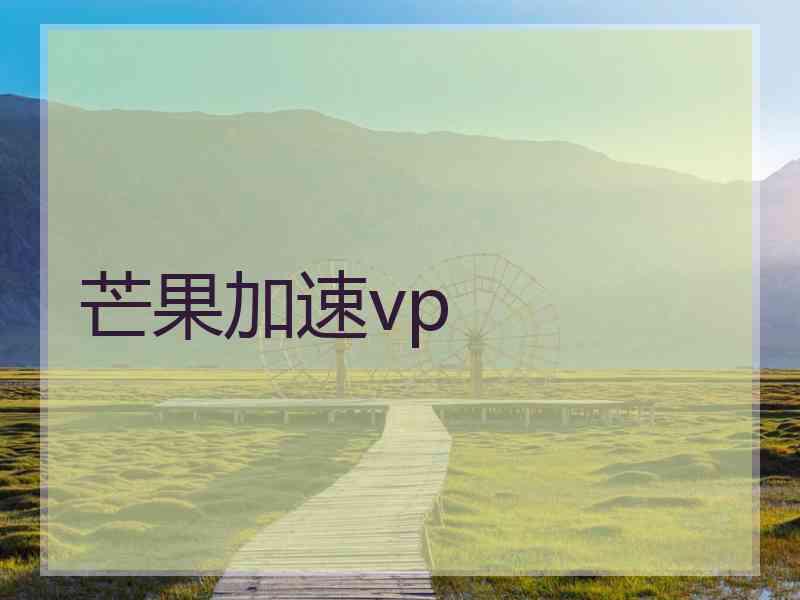 芒果加速vp