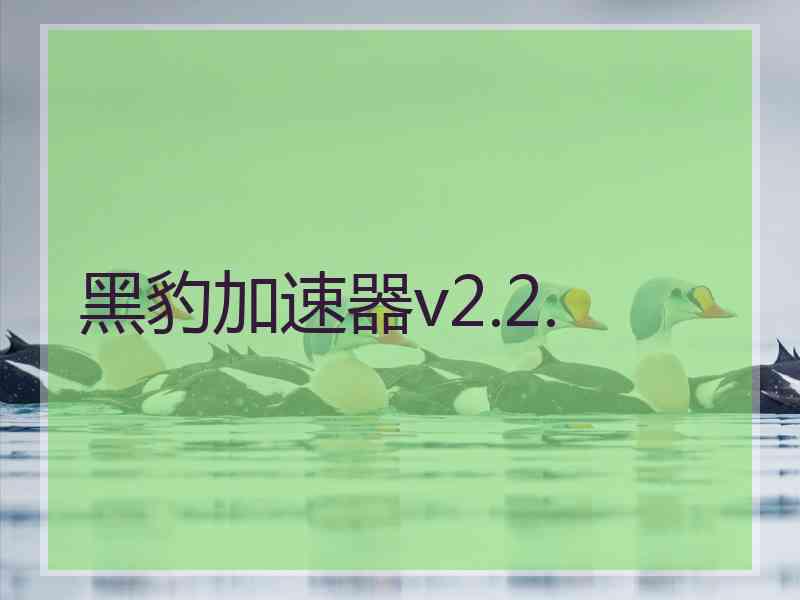 黑豹加速器v2.2.