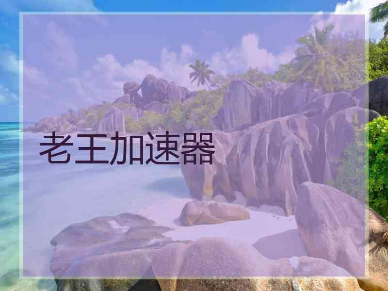 老王加速器