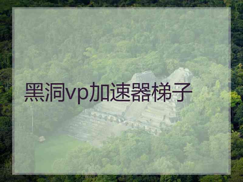黑洞vp加速器梯子