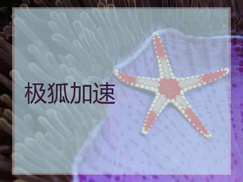极狐加速