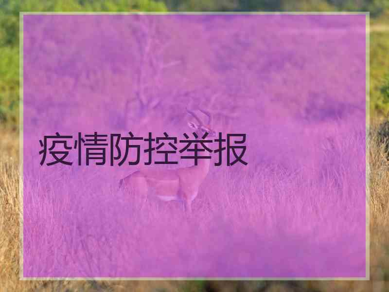 疫情防控举报