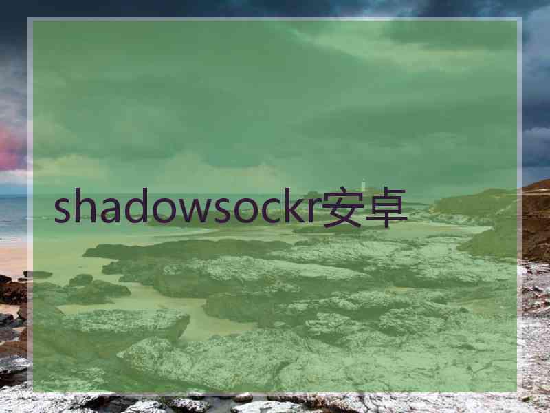 shadowsockr安卓