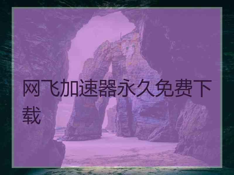 网飞加速器永久免费下载