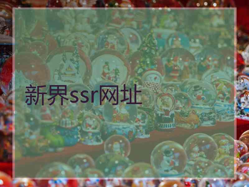 新界ssr网址