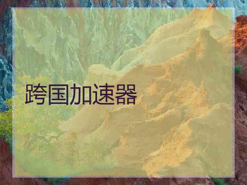 跨国加速器