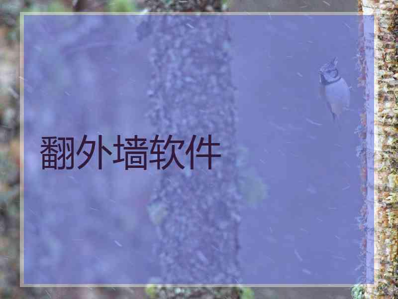 翻外墙软件