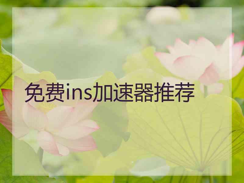 免费ins加速器推荐