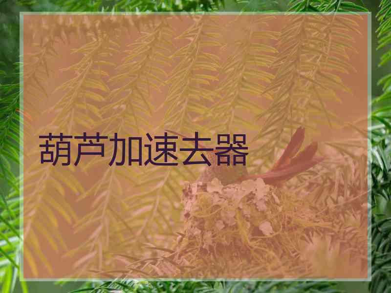 葫芦加速去器