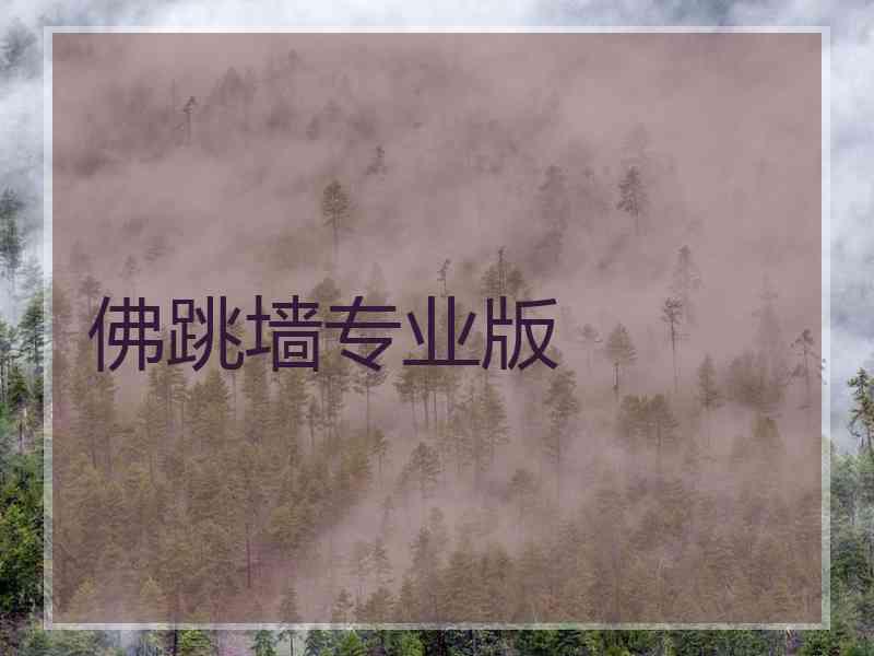 佛跳墙专业版