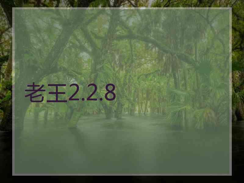 老王2.2.8