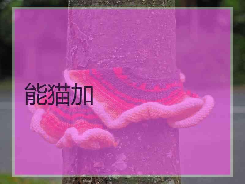 能猫加