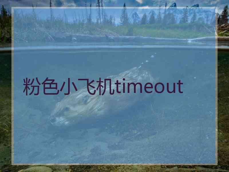 粉色小飞机timeout