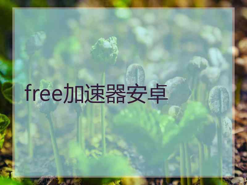 free加速器安卓