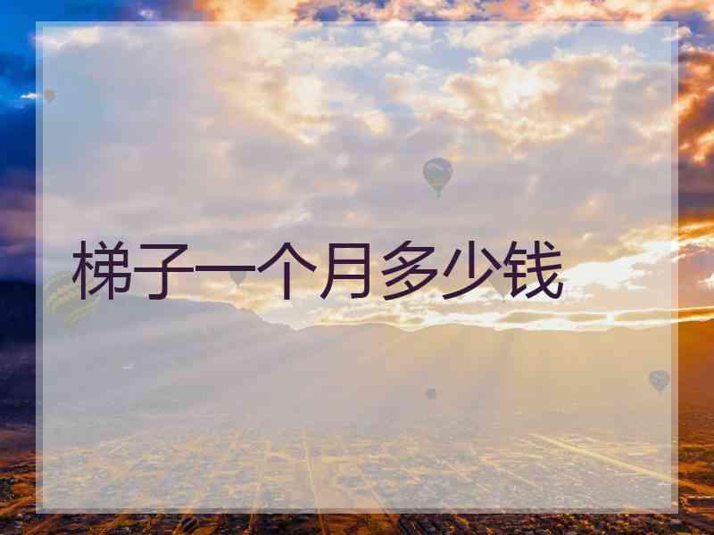 梯子一个月多少钱