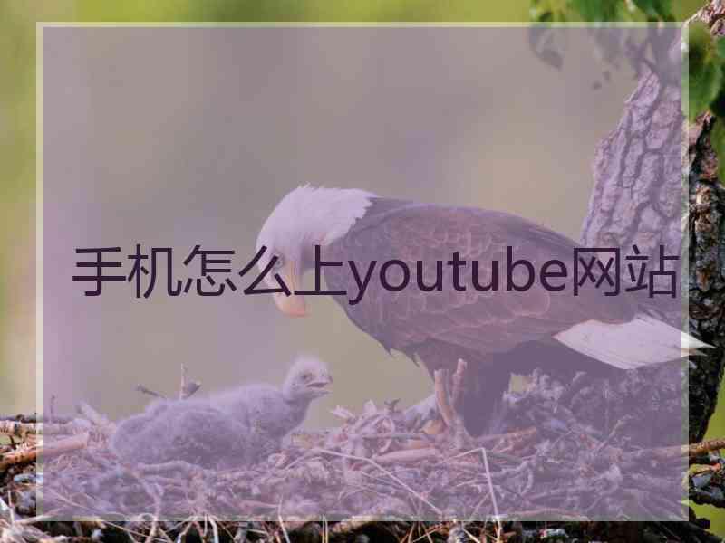 手机怎么上youtube网站