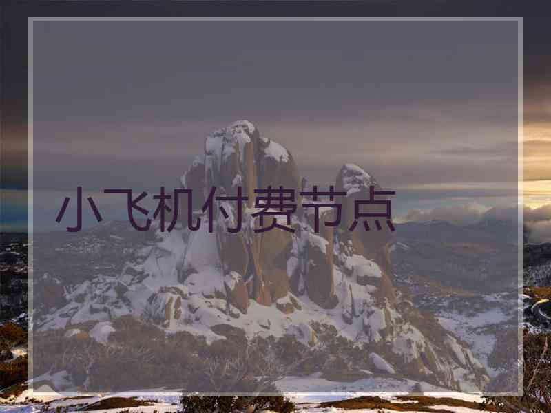 小飞机付费节点