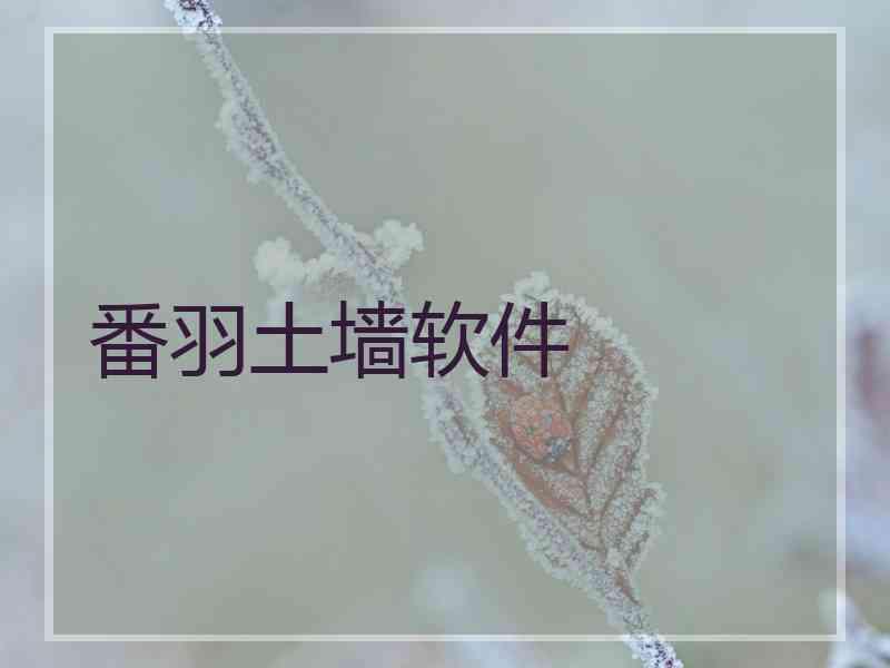 番羽土墙软件
