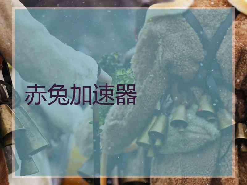 赤兔加速器