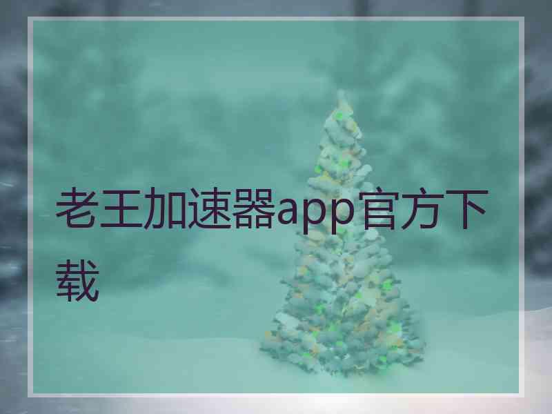 老王加速器app官方下载