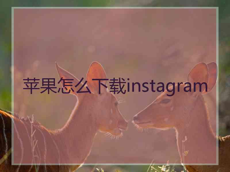 苹果怎么下载instagram